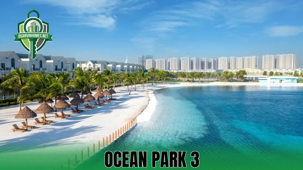 OCEAN PARK 3