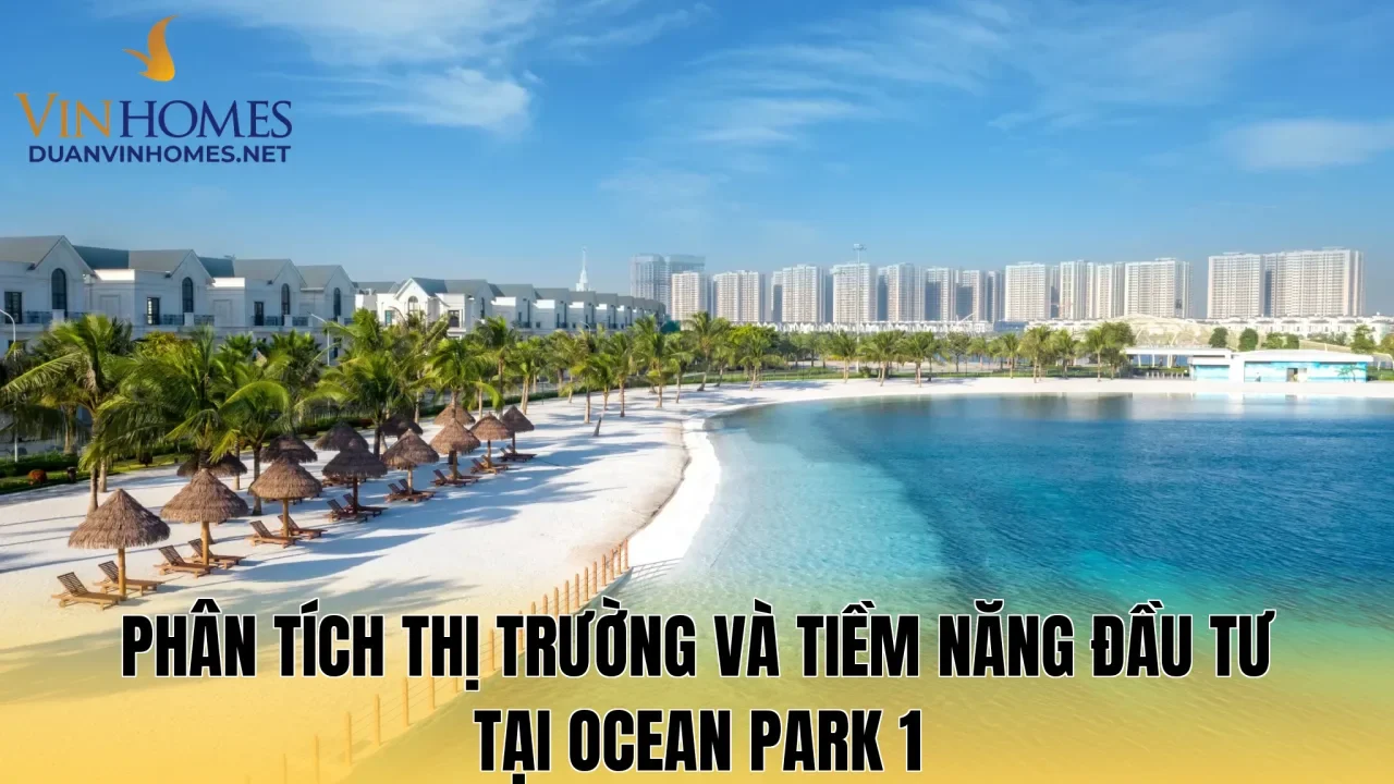 Phân tích thị trường và tiềm năng đầu tư tại Ocean Park 1